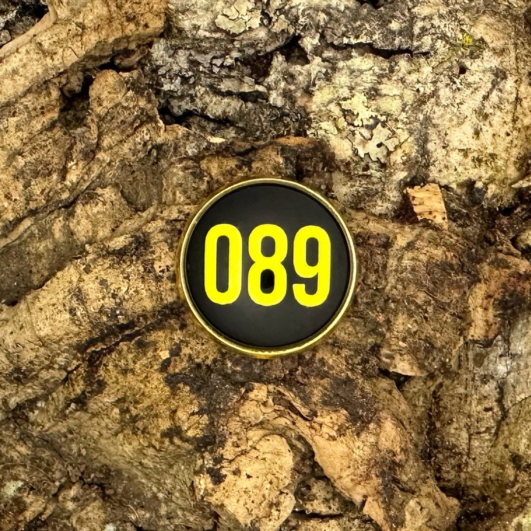 089 | Pin | Gold