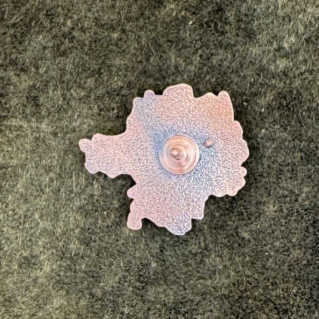 Bezirk Mittelfranken | Metall Pin