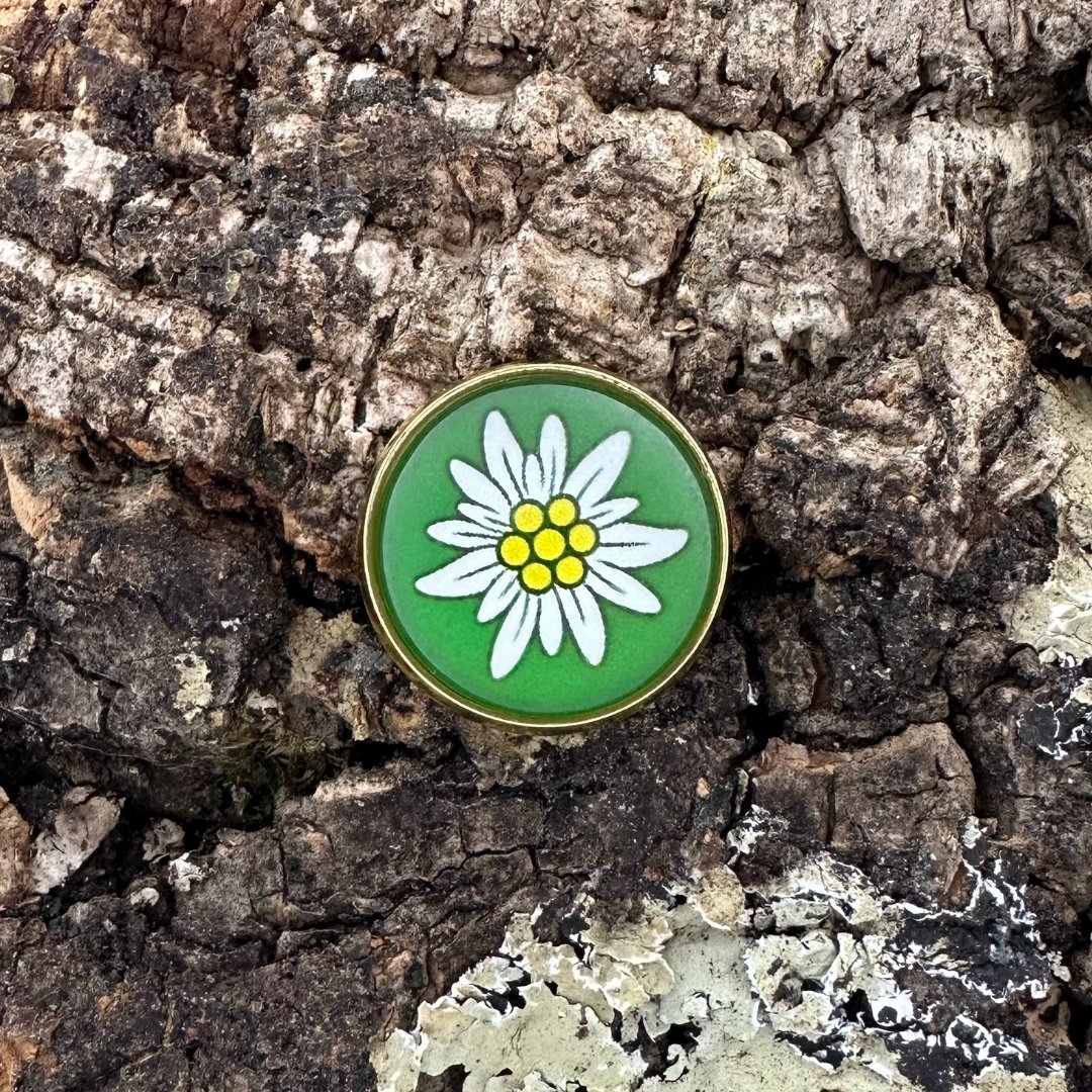 Edelweiss | Grün | Anstecker | Gold